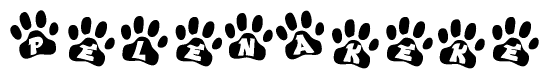 The image shows a series of animal paw prints arranged horizontally. Within each paw print, there's a letter; together they spell Pelenakeke