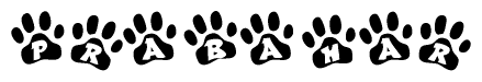 The image shows a series of animal paw prints arranged in a horizontal line. Each paw print contains a letter, and together they spell out the word Prabahar.