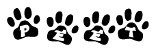 The image shows a row of animal paw prints, each containing a letter. The letters spell out the word Peet within the paw prints.