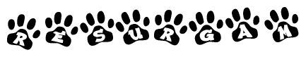 The image shows a series of animal paw prints arranged horizontally. Within each paw print, there's a letter; together they spell Resurgam
