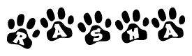 The image shows a series of animal paw prints arranged in a horizontal line. Each paw print contains a letter, and together they spell out the word Rasha.