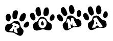 The image shows a series of animal paw prints arranged in a horizontal line. Each paw print contains a letter, and together they spell out the word Roma.