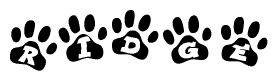 The image shows a series of animal paw prints arranged horizontally. Within each paw print, there's a letter; together they spell Ridge
