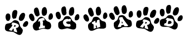 The image shows a series of animal paw prints arranged in a horizontal line. Each paw print contains a letter, and together they spell out the word Richard.