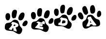 The image shows a series of animal paw prints arranged in a horizontal line. Each paw print contains a letter, and together they spell out the word Reda.