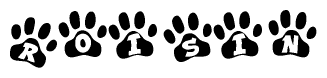 The image shows a row of animal paw prints, each containing a letter. The letters spell out the word Roisin within the paw prints.