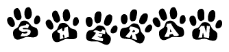 The image shows a series of animal paw prints arranged horizontally. Within each paw print, there's a letter; together they spell Sheran