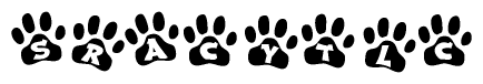 The image shows a row of animal paw prints, each containing a letter. The letters spell out the word Sracytlc within the paw prints.