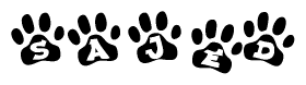 The image shows a row of animal paw prints, each containing a letter. The letters spell out the word Sajed within the paw prints.