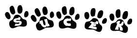 The image shows a series of animal paw prints arranged horizontally. Within each paw print, there's a letter; together they spell Sucek
