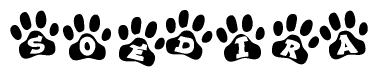 The image shows a series of animal paw prints arranged in a horizontal line. Each paw print contains a letter, and together they spell out the word Soedira.
