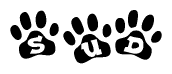 The image shows a row of animal paw prints, each containing a letter. The letters spell out the word Sud within the paw prints.