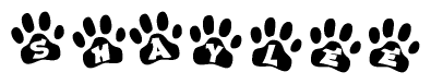 The image shows a series of animal paw prints arranged in a horizontal line. Each paw print contains a letter, and together they spell out the word Shaylee.