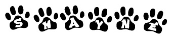 The image shows a row of animal paw prints, each containing a letter. The letters spell out the word Shayne within the paw prints.