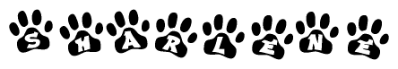 The image shows a series of animal paw prints arranged horizontally. Within each paw print, there's a letter; together they spell Sharlene