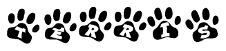 The image shows a row of animal paw prints, each containing a letter. The letters spell out the word Terris within the paw prints.