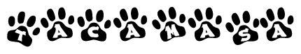The image shows a series of animal paw prints arranged in a horizontal line. Each paw print contains a letter, and together they spell out the word Tacamasa.