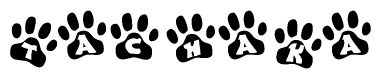 The image shows a series of animal paw prints arranged in a horizontal line. Each paw print contains a letter, and together they spell out the word Tachaka.