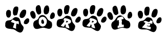 The image shows a series of animal paw prints arranged horizontally. Within each paw print, there's a letter; together they spell Torrie