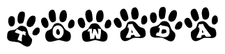The image shows a row of animal paw prints, each containing a letter. The letters spell out the word Towada within the paw prints.