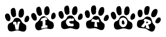 The image shows a series of animal paw prints arranged in a horizontal line. Each paw print contains a letter, and together they spell out the word Victor.