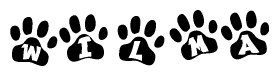 The image shows a series of animal paw prints arranged horizontally. Within each paw print, there's a letter; together they spell Wilma