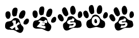 The image shows a series of animal paw prints arranged in a horizontal line. Each paw print contains a letter, and together they spell out the word Xesos.