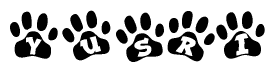 The image shows a series of animal paw prints arranged in a horizontal line. Each paw print contains a letter, and together they spell out the word Yusri.