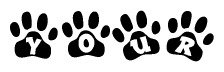 The image shows a series of animal paw prints arranged in a horizontal line. Each paw print contains a letter, and together they spell out the word Your.