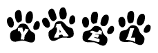 The image shows a row of animal paw prints, each containing a letter. The letters spell out the word Yael within the paw prints.