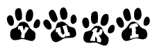 The image shows a row of animal paw prints, each containing a letter. The letters spell out the word Yuki within the paw prints.