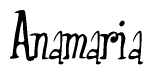 The image is a stylized text or script that reads 'Anamaria' in a cursive or calligraphic font.