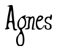 The image is of the word Agnes stylized in a cursive script.