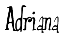 The image is of the word Adriana stylized in a cursive script.