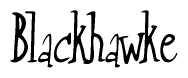 The image is of the word Blackhawke stylized in a cursive script.