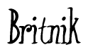 The image contains the word 'Britnik' written in a cursive, stylized font.
