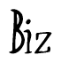 The image is of the word Biz stylized in a cursive script.