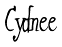 The image is of the word Cydnee stylized in a cursive script.