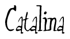 The image is of the word Catalina stylized in a cursive script.