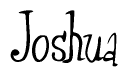 The image contains the word 'Joshua' written in a cursive, stylized font.