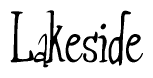 The image is of the word Lakeside stylized in a cursive script.