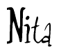 The image contains the word 'Nita' written in a cursive, stylized font.