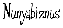 The image is of the word Nunyabiznus stylized in a cursive script.