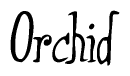 The image is of the word Orchid stylized in a cursive script.