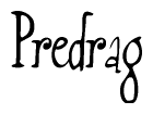 The image is a stylized text or script that reads 'Predrag' in a cursive or calligraphic font.