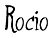The image is of the word Rocio stylized in a cursive script.