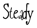 The image contains the word 'Steady' written in a cursive, stylized font.