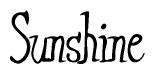 The image is of the word Sunshine stylized in a cursive script.