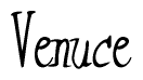 The image is of the word Venuce stylized in a cursive script.