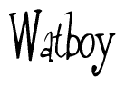 Watboy
